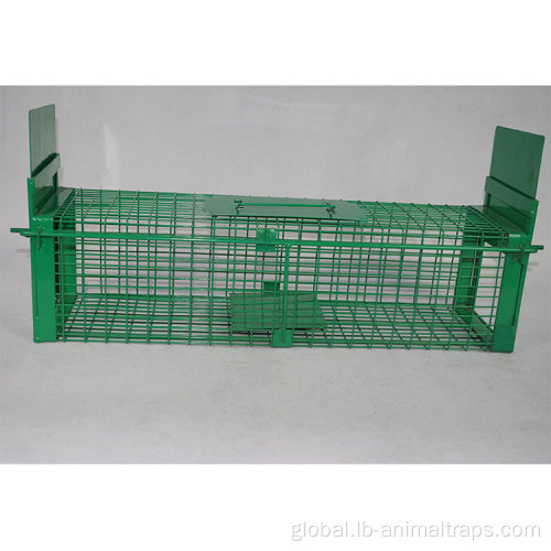 Small Animal Trap Cage Metal Wire Mesh Catch Mouse Rat Trap Cage Manufactory